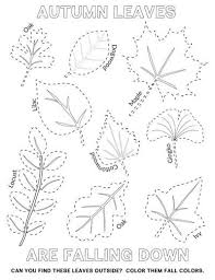 Easy Autumn Leaf Activities And Tracing Page Tyee Outdoor Experience Autumn Leaf Color Fall Leaves Coloring Pages Leaf Coloring Page