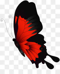 images?q=tbn:ANd9GcQ8WsMnxpN6sAowtryFTI2