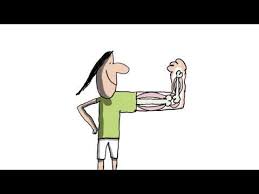 1jour1actu t'explique ce qui se passe dans le corps en cas d'allergie aux pollens par exemple. A Quoi Ca Sert De Faire Du Sport 1 Jour 1 Question