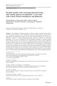 Image result for Stolzia cupuligera