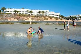 Active guests will enjoy diving, snorkelling and darts provided for their rest. Hotel Sotavento Beach Club In Costa Calma Buchen