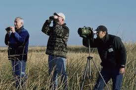 Find out which species are coming to your feeder. Birdwatching Wikipedia