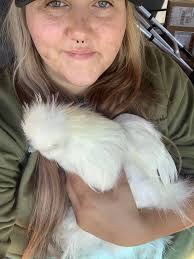 Silkie and turkey crossbreed ideas needed