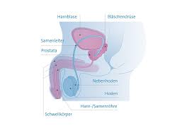 Wann der richtige zeitpunkt dafür ist, muss jeder für sich ergründen. Profamilia De Samenerguss