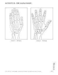 Coloring options also include micas. Activity 21 The Aging Hand The Aging Hand Acti Chegg Com