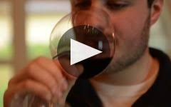 Luciano Sandrone Winery Video