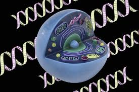 It codes genetic information for the transmission of inherited traits. High Precision Technique Stores Cellular Memory In Dna Mit News Massachusetts Institute Of Technology