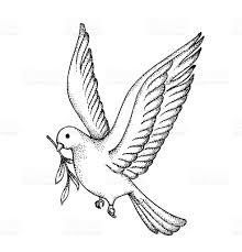 Vector Of Hand Draw Dove Symbol Of Peace Royalty Free Stok Vektor Sanati Kus Cizimleri Cizimler Kus Cizimi