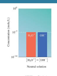 Student exploration chemical equations answer key gizmo free. Reversible Reactions And Equilibrium Instruction Quizlet