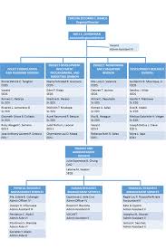 Organizational Structure Neda Xii