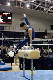 Members of No. 1 Men's Gymnastics Team to Compete at Winter Cup Challenge