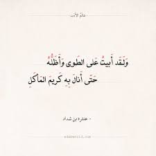 شعر عنترة بن شداد ولقد أبيت على الطوى وأظله عالم الأدب pretty words words of wisdom words