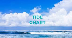 Costa Rica Tide Chart November 2018 The Howler Magazine
