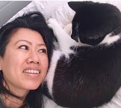 Miracle' cat survives 11 days in LaGuardia Airport ceiling