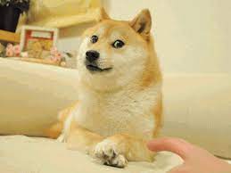 See, rate and share the best doge meme memes, gifs and funny pics. Doge Gif Doge Know Your Meme