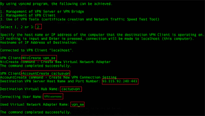 Image result for softether vpn server GUI