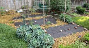 How To Install Landscape Fabric In 9 Easy Steps Lawnstarter