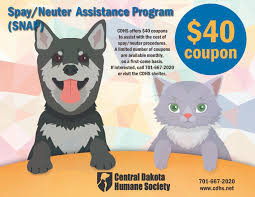 It can cost more than a $100 to get a cat spayed or neutered. Snap Central Dakota Humane Society