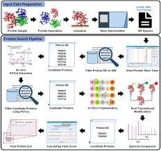 Spectrum A Matlab Toolbox For Proteoform Identification From Top Down Proteomics Data Scientific Reports