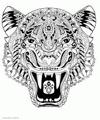 Visit our zoo and approach without fear our different species : Wild Animals Colouring Pages For Adults Coloring Pages Printable Com