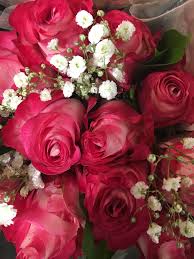 Find the best gift for valentine's day for her (or him!) in our collection of top valentines flowers & gifts from roses to giant teddy bears! Macali S Warren Plaza Giant Eagle Home Facebook