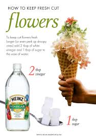 Best of all, the flowers are delivered in refrigerated vans to ensure they stay fresh in transit. Pin On How To Live An Amazing Life By Osa
