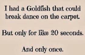Here you will find different jokes, riddles, pick up lines and insults. I Need A Little Cheering Up I Figure The Bhb May Need A Little Cheering Up Too Post Your Favorite Funny M Cheer Up Funny Funny Encouragement Cheer Up Quotes
