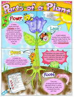 Plants Worksheets Edhelper Com