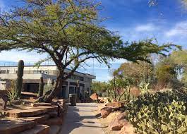 Visit ethel m chocolates' henderson factory store for a chocolate tasting class experience with our chocolatiers. Red House Garden The Ethel M Chocolate Factory S Botanical Cactus Garden