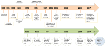 Creative biolabs provides the unique camel monoclonal antibody production service for our global clients. Frontiers Camelid Single Domain Antibodies Historical Perspective And Future Outlook Immunology