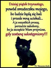 We did not find results for: 12 Piatek 13 Go Ideas Memy Koci Humor Smieszne