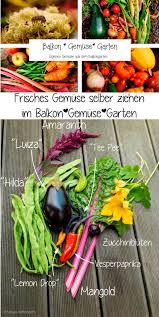 Gemuse Selbstversorger Im Balkon Garten Urban Farming Macht Spass In 2020 Gemuse Anbauen Gesundes Essen Kochen Puffbohne