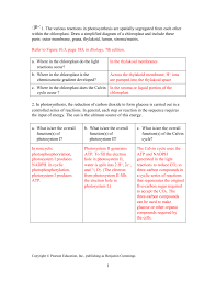 activity 10 2 how do c 3 c 4 and cam photosynthesis compare