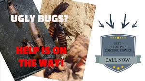 Pay your clegg's termite & pest control bill online with doxo, pay with a credit card, debit card, or direct from your bank account. Termite Pest Termite Pest Control Raleigh Nc