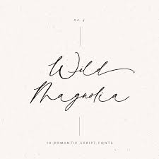 Copperplate script информация по шрифту. 10 Romantic Realistic Calligraphy Script Fonts Sarah Shuttle Creative