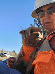 This is Bug my constant companion and I