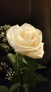 Another eden flower quest guide (mourning flowers). Mourning On Mother S Day What To Say When Someone Dies