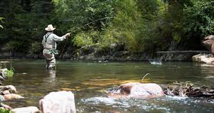 Fly fishermen in this area can reel in all sorts of species and some huge catches have been recorded in dallas over the years. Oklahoma Texas New Mexico Fishing Land For Sale Chas S Middleton