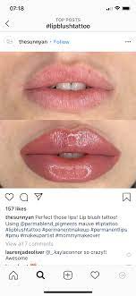 Pin By Laura Sutherland On Pmu Lip Inspiration Permanent Lips Lips Inspiration Lip Blush Tattoo