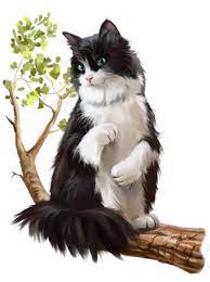Chatons Chats Cat Gato Katze Katter Kettir Cait Dessin Animaux Mignons Illustration De Chat Chat Noir Et Blanc