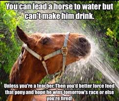 You Can Lead A Horse To Water But You Can T Make Him Drink Unless You Re A Teacher Then You D Better Force Fed Teacher Problems Teacher Jokes Classroom Humor