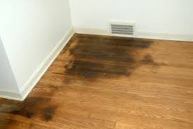 remove urine from hardwood floors