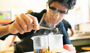 KAMEHAMEHA SCHOOLS 2019 ANNUAL REPORT