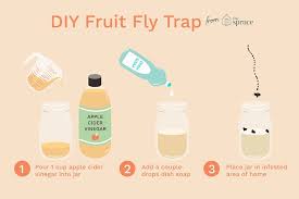 How To Make Your Own Fruit Fly Trap Fruit Fly Trap Diy Fruit Fly Trap Fruit Flies