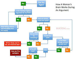 How A Womans Brain Works During An Argument Flow Chart