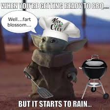 Baby Yoda Tries To Bbq Yoda Funny Yoda Meme Yoda