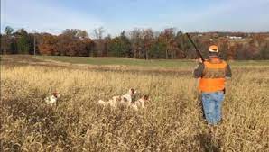 Family Farm Doubles As A Pheasant Hunting Preserve | Recreation |  Lancasterfarming.com