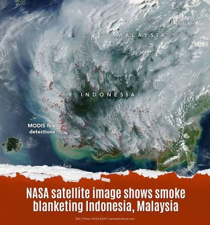 Haze: NASA's Aqua satellite captured this image on Sept 1, showing smoke  blanketing large parts of Indonesia and Malaysia as forest and peatland  fires continue to burn amid severe drought. MORE AT: