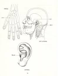 Pin En The Acupuncture Treatment Of Pain Leon Chaitow