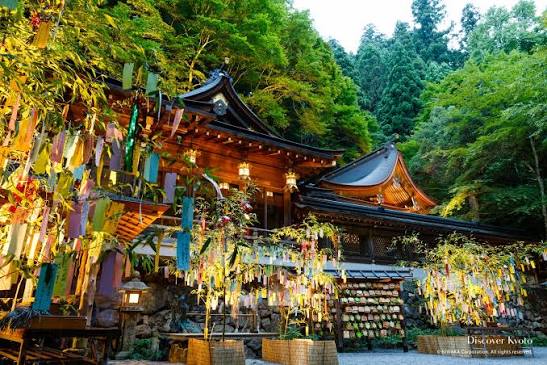 Kibune Shrine Tanabata Bamboo Light-up